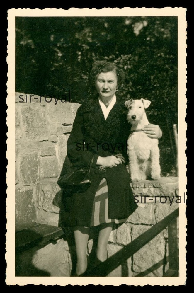 Woman with Fox Terrier Dog – Photo 6x9cm