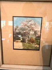 Pair Wallace Nutting Hand Colored Photos Framed Floral Landscape Prints