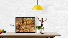 Fall Forest Leafy Ground 2, High Resolution Image, Many Formats, TV Art