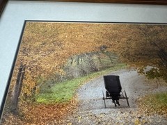 Wade Wilcox Signed Photography Photo Amish Buggy Autumn Scene Country Americana