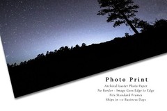 Pine Tree Silhouette and Starry Night Sky in Colorado Photo Print (Unframed)