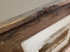 Rustic Hand Made Reclaimed Barnwood Framed Photograph of Vineyard in Winter