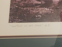 Lou DeSerio Original Photography Chrome Print Westfork of Oak Creek Sedona AZ
