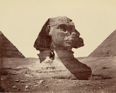 Sphinx and Pyramids by Félix Bonfils 8″x10″ Photograph Print 8×10