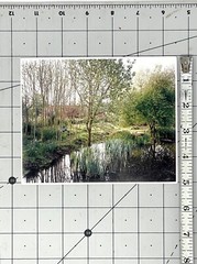 Jem Southam (b. 1950) Art Announcement Card 2004