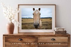 Horse Photography Print: Wyoming Equine Funny Humor Western Animal Photo