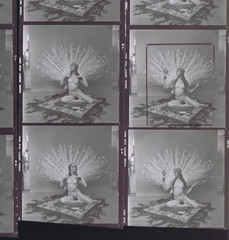 NEWLY FOUND! Hendrickson PHOTO Contact Sheet Proof & Negatives TOPLESS PEACOCK