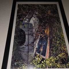 Chevy Impala 350 Overgrown In Brush Framed Photograph In Color