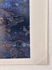 ELIOT PORTER «River edge at sunset, below Piute Rapids» (1962) Signed C-Print