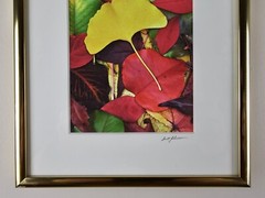 ART – VTG Original Signed Scott Johnson Photograph 10.5×8.5 Framed Gingko Leaves