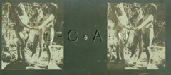 Org Antique B/W Nude Real Photo- Double Stereoscope- Three Women- Hold Hands