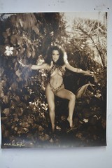 Original Alan Houghton fine art Photography «Karen Kelly-Jungle » 16 X 20″ 1985