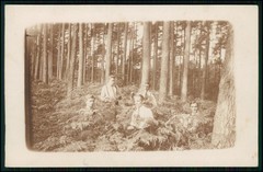 12x Real Photo Postcard Portrait People Groups in Forest and Nature 1910-1920s