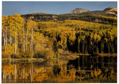 ACEO 4-pack Photographs, Mountains Trees Grass Seasons, River,CurvedTree, Color