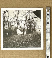 Elijah Gowin (b. 1967) Art Photo Print Card – Hymnal Of Dreams – Mann Gallery