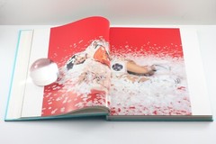 Angel Festival Nobuyoshi Araki Photobook Japanese 1992 Taiyo Publishing