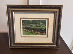 Framed Signed Photograph Sonoma Valley Vineyard by Bob Martin | California Wine