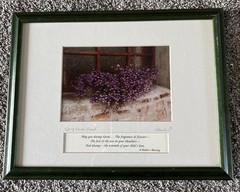 Celtic Images Spring Flowers, Ireland A Mother’s Blessing R Henderson