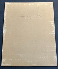 Leopold Hugo, Silver Print Photo «Eucalyptus Trees, Ca.» Pencil Signed. 1916