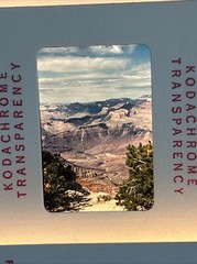 Kodachrome Lot Of 40 1960’s Grand Canyon And Hawaii Trip 35mm Color Slides