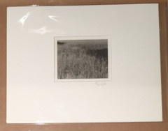 RYUIJIE Signed P118-93 1993 Limited Edition 2/25 4″X5″ Platinum Photograph