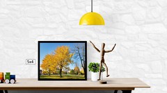 Fall Trees 2, High Resolution Image, Many Formats, TV Art