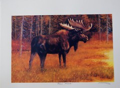 LOT of 3  – 8.25 x 11.5in MOOSE art prints, signed by George Wise 