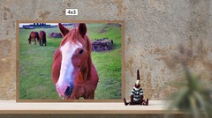 Close-up on a Wild Horse High Resolution Image, In Many Formats, TV Art