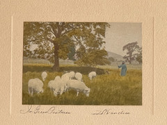 Rare David Davidson Hand Colored Photo «In Green Pastures» Sheep & Shepherd