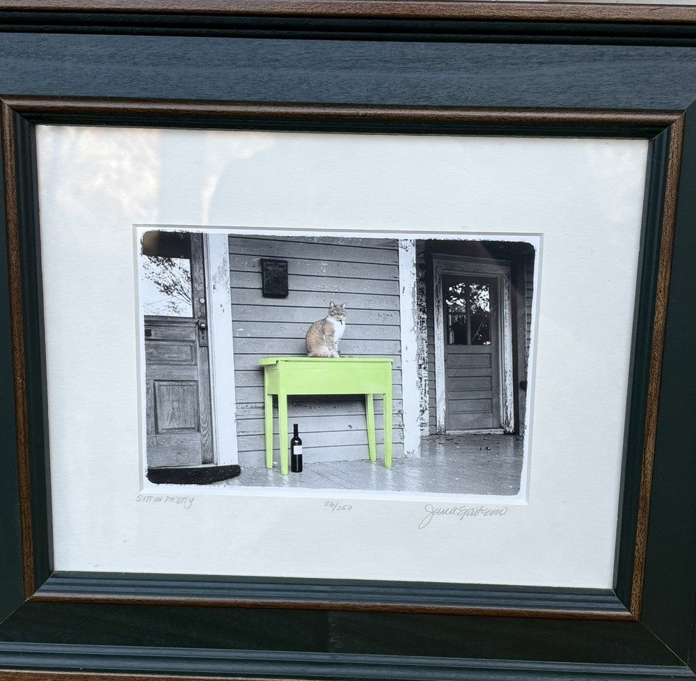 Jana Epstein Signed and Numbered Photo Art Framed – Sittin Pretty