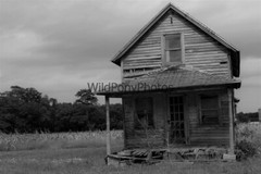 Old Barn Photo, Pick One Image – Various Sizes