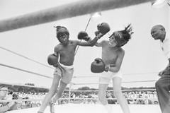 Young Boxer 20X30cm Film Photo Print