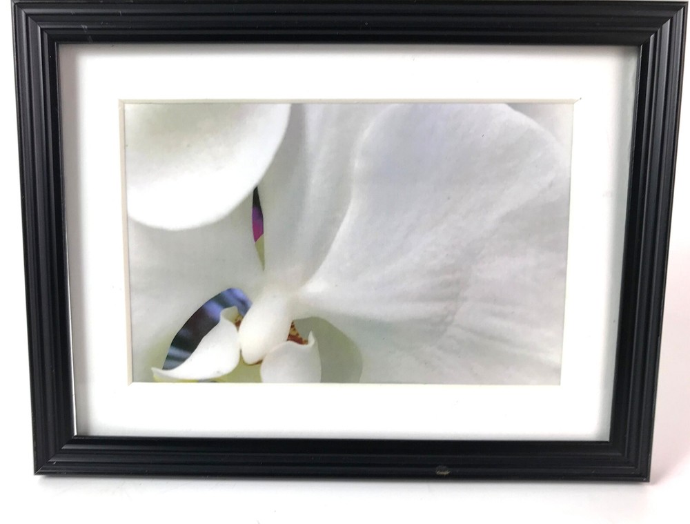 WHITE ORCHID, 4×6 » MATTED AND FRAMED PRINT, READY TO HANG, GREAT GIFT!