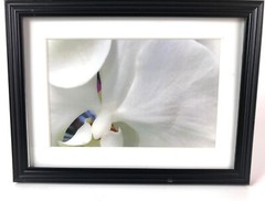 WHITE ORCHID, 4×6 » MATTED AND FRAMED PRINT, READY TO HANG, GREAT GIFT!