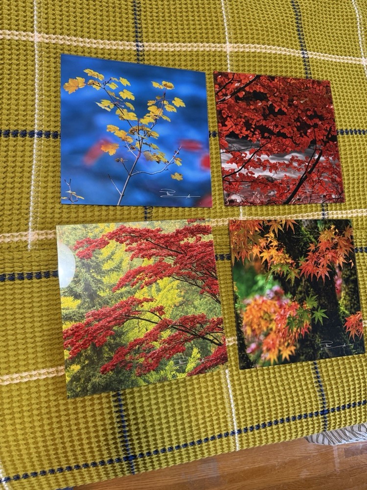 Peter Lik Trees Four Pack