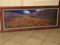 Thomas Mangelsen «Tapis Magique» Original Photograph 22″x68″ 736/2500 Flowers