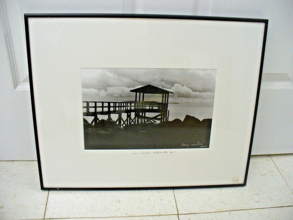 MATTED PHOTOGRAPHY South Western Silhouette By Larry Santucci 2007 Framed 20×16