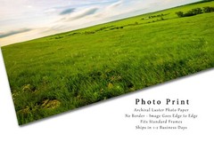 Plains Photography Print – Picture of Tallgrass Prairie in Kansas Flint Hills