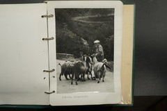 Photo Album Corsica France Island Church Building Landscape Nature Farmer Fisherman
