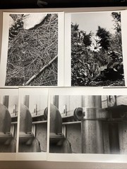 16 Prints black and white photography art Railroad Nature 8x10s