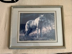 Framed Wolf Photo Print James T Jones Glass and Triple Matting 12” x 15”