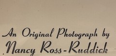 Nancy Ross-Ruddick Original Photograph Signed Matted Purple Pansies Aigle, Switz