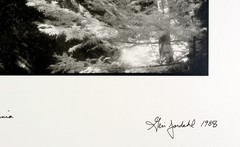 Geir Jordahl Original Photograph from Yosemite, beautiful and dramatic scene