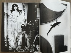 SupRARE! Polka – Daido MORIYAMA, Magazines 2020, 2021, Miho Kajioka, Meyerowitz