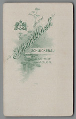 CDV Lady Portrait Schluckenau Šluknov Czech Republic Johann Wenceslas around 1905 (C2232)