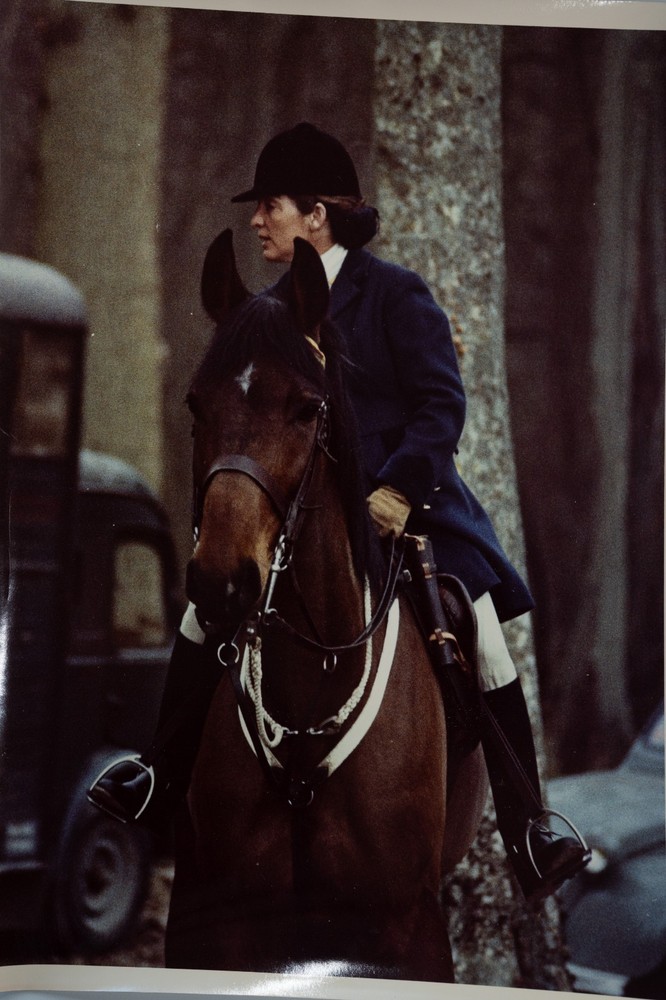 Analog Photo France Hunting Hound Horse 24X30CM 1970