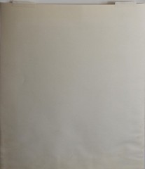 ELIOT PORTER-IL Photographer-Hand Signed Dry Transfer Print-Lotus Blossoms-China
