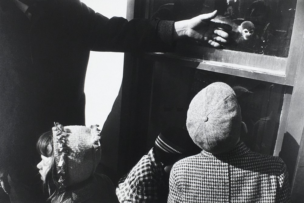 Garry WINOGRAND: Monkey, Central Park Zoo, NYC, 1964 / Ptd 1978 /GWHK-07/ SIGNED