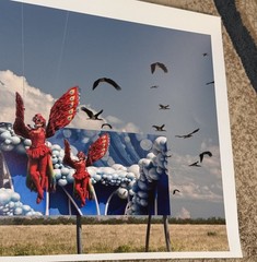 ORIGINAL SIGNED FINE ART PHOTOGRAPH BIG BIRDS AFRICA & USA ESTATE FIND NEW YORK