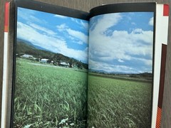 Daido Moriyama – Tales of Tono, 1976, Tono MONOGATARI, 1st Ed MEGA RARE